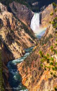 Yellowstone Falls-7641.jpg Yellowstone Falls-7641.jpg